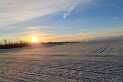 2021-12-25-Wanderung-Magdeburg-13