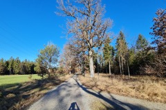 2021-12-31-Gravelbike-Tour-Tegernsee-64