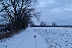 1_2022-01-08-Gravelbike-Tour-im-Schnee-06