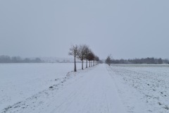 2022-01-08-Gravelbike-Tour-im-Schnee-09