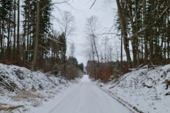 2022-01-08-Gravelbike-Tour-im-Schnee-20