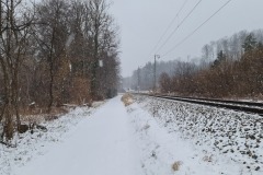 2022-01-23-Gravelbike-Tour-Schnee-Ammersee-06