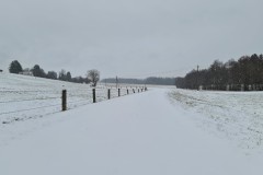 2022-01-23-Gravelbike-Tour-Schnee-Ammersee-15