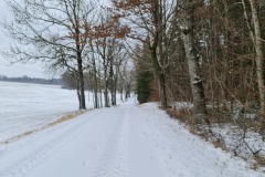 2022-01-23-Gravelbike-Tour-Schnee-Ammersee-17