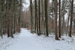 2022-01-23-Gravelbike-Tour-Schnee-Ammersee-19