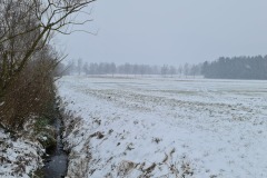 2022-01-23-Gravelbike-Tour-Schnee-Ammersee-27