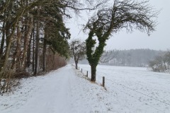 2022-01-23-Gravelbike-Tour-Schnee-Ammersee-30