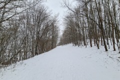 2022-01-23-Gravelbike-Tour-Schnee-Ammersee-35