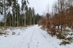 2022-01-29-Gravelbike-Tour-Erding-19