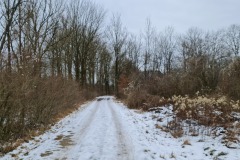 2022-01-29-Gravelbike-Tour-Erding-28