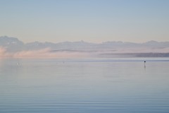 2022-02-12-Gravelbike-Ammersee-Lech-Landsberg-14