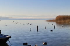 2022-02-12-Gravelbike-Ammersee-Lech-Landsberg-20