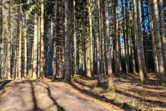 2022-02-12-Gravelbike-Ammersee-Lech-Landsberg-37