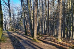 2022-02-12-Gravelbike-Ammersee-Lech-Landsberg-45