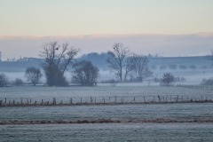 2022-02-26-Gravelbike-Tour-Vogesen-Strassburg-Elsass-22