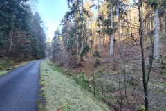 2022-02-26-Gravelbike-Tour-Vogesen-Strassburg-Elsass-41