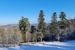 2022-02-26-Gravelbike-Tour-Vogesen-Strassburg-Elsass-49