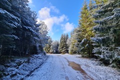 2022-02-26-Gravelbike-Tour-Vogesen-Strassburg-Elsass-56