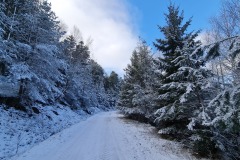 2022-02-26-Gravelbike-Tour-Vogesen-Strassburg-Elsass-57