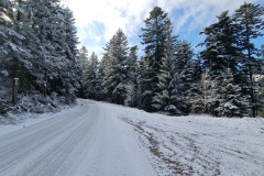 2022-02-26-Gravelbike-Tour-Vogesen-Strassburg-Elsass-59