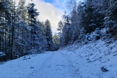 2022-02-26-Gravelbike-Tour-Vogesen-Strassburg-Elsass-63