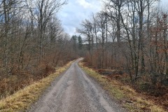 2022-02-26-Gravelbike-Tour-Vogesen-Strassburg-Elsass-73