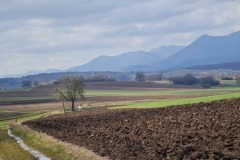 2022-02-26-Gravelbike-Tour-Vogesen-Strassburg-Elsass-78