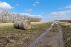 2022-02-26-Gravelbike-Tour-Vogesen-Strassburg-Elsass-79