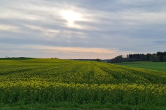 2022-02-30-Gravelbike-Tour-Ammersee-06