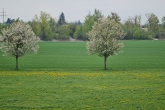 2022-02-30-Gravelbike-Tour-Ammersee-38