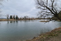 2022-03-06-Wanderung-Neuburg-Donau-15