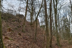 2022-03-06-Wanderung-Neuburg-Donau-26