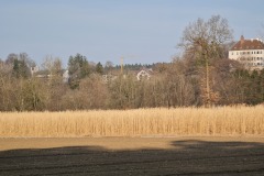 2022-03-12-Gravelbike-Tour-Ammersee-Starnberger-See-07