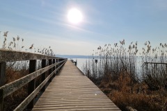 2022-03-12-Gravelbike-Tour-Ammersee-Starnberger-See-12