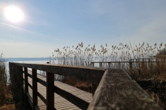 2022-03-12-Gravelbike-Tour-Ammersee-Starnberger-See-13