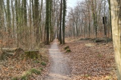 2022-03-12-Gravelbike-Tour-Ammersee-Starnberger-See-15
