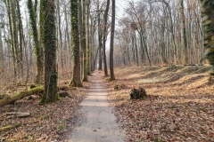2022-03-12-Gravelbike-Tour-Ammersee-Starnberger-See-16