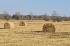 2022-03-12-Gravelbike-Tour-Ammersee-Starnberger-See-21