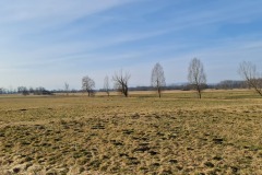 2022-03-12-Gravelbike-Tour-Ammersee-Starnberger-See-22