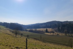 2022-03-12-Gravelbike-Tour-Ammersee-Starnberger-See-24