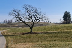 2022-03-12-Gravelbike-Tour-Ammersee-Starnberger-See-27