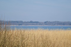 2022-03-12-Gravelbike-Tour-Ammersee-Starnberger-See-33