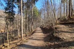 2022-03-12-Gravelbike-Tour-Ammersee-Starnberger-See-41