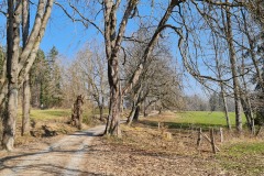 2022-03-19-Kloster-Beuerberg-35