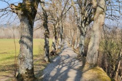 2022-03-19-Kloster-Beuerberg-37