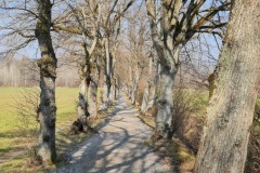 2022-03-19-Kloster-Beuerberg-38