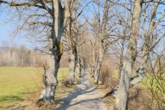 2022-03-19-Kloster-Beuerberg-39