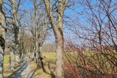 2022-03-19-Kloster-Beuerberg-40