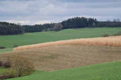 2022-04-09-Graveltour-Nordosten-Muenchens-30