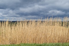 2022-04-09-Graveltour-Nordosten-Muenchens-32